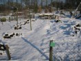 /album/sneeuw-op-de-tuin-in-2009-/a1231164551-resized-jpg/